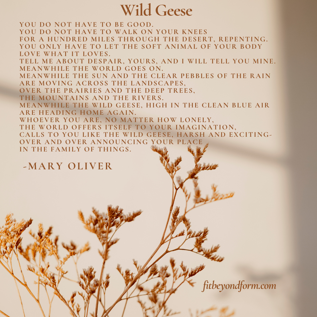 The “soft animal of your&nbsp;body”